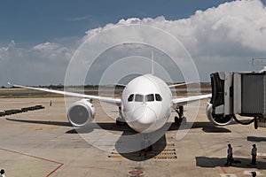 Pre-flight and refueling and Loading cargo service of airplane,