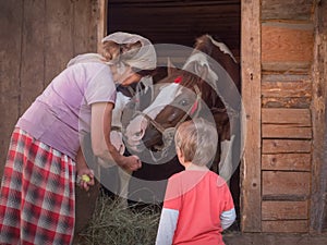 Pre-schooler alternative education background. Outdoor activities. Chores and leisure activities