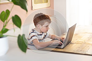 Pre-teen boy doing home schooling on the computer