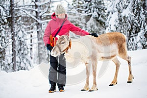 Pre-teen girl and reindeer in Lapland