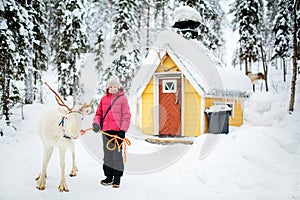 Pre-teen girl and reindeer in Lapland