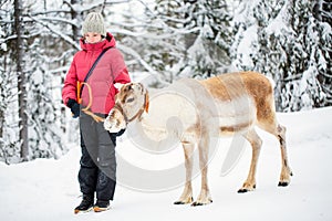 Pre-teen girl and reindeer in Lapland