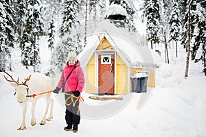 Pre-teen girl and reindeer in Lapland