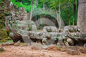 Preah Khan temple, Angkor area, Siem Reap, Cambodia