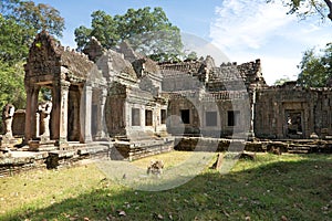 Preah Khan temple in Angkor, Cambodia photo