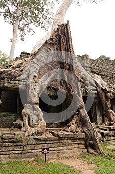 Preah Khan temple in Angkor in Siem Reap