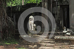 Preah Khan Temple in AngKor Wat