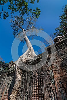 Preah Khan temple, Siem Reap, Cambodia