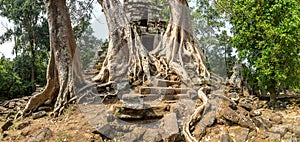 Preah Palilay temple in Angkor Wat photo