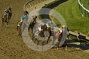 The Preakness