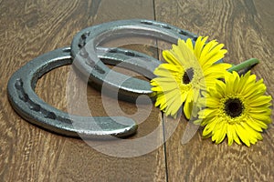 Preakness Stakes Black Eyed Susans with Horseshoes on Wood