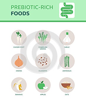 Prebiotic-rich foods that help digestion