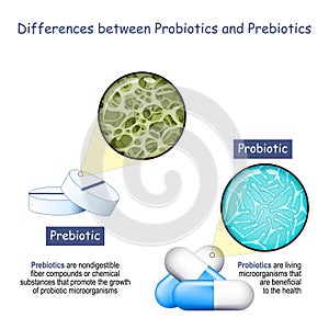 Prebiotics and Probiotics photo