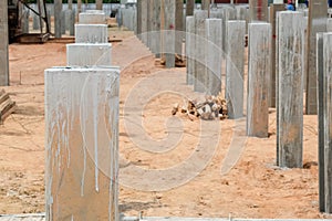 Precast concrete pile cut off in construction site