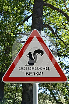 Precautionary sign Carefully, squirrels! in park