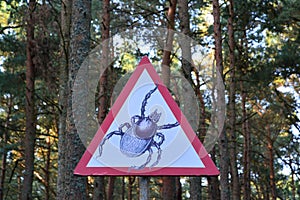 Precautionary sign Carefully â€” Pincers in the forest