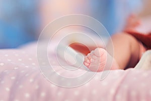 Precious Baby Feet, Closeup new born infant baby feet