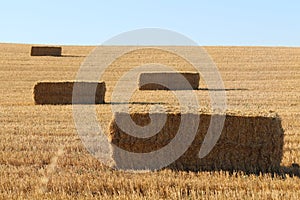 The precious image of a piece of straw ready to be stored photo