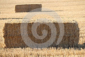 The precious image of a piece of straw ready to be stored photo