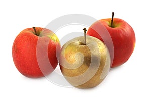 Precious individualist