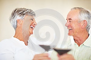 Precious moments. Cheerful mature couple enjoying time together at home toasting red wine.