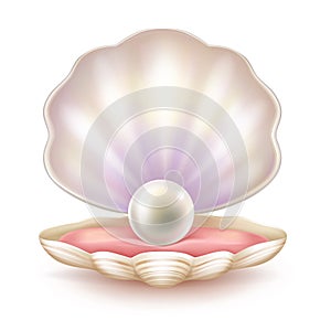 Precious pearl in opened shell realistic vector photo