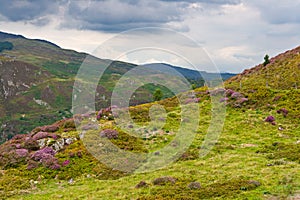 Precipice walk in Snowdonia photo