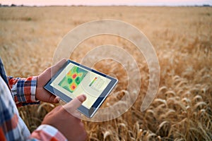 Precision farming. Farmer hands hold tablet using online data management software, differential fertilizer application