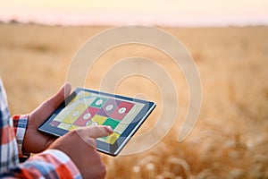 Precision farming. Farmer hands hold tablet using online data management software with maps at wheat field. Agronomist