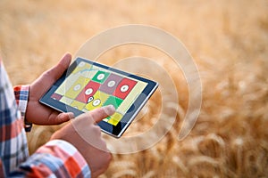 Precision farming. Farmer hands hold tablet using online data management software with maps at wheat field. Agronomist