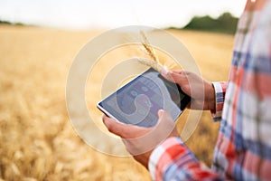 Precision farming. Farmer hands hold tablet using online data management software with maps at wheat field. Agronomist