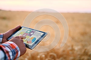 Precision farming. Farmer hands hold tablet using online data management software with maps at wheat field. Agronomist