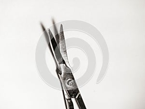 Precision Metal Nail Scissors, Trimmers, Clippers. Closeup.