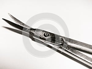 Precision Metal Nail Scissors, Trimmers, Clippers. Closeup.