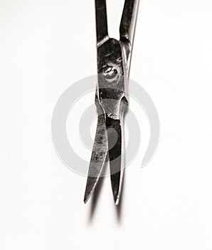 Precision Metal Nail Scissors, Trimmers, Clippers. Closeup.