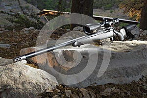 Precision rifle with a brake and riflescope