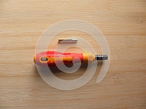 Precision screwdriver with bit
