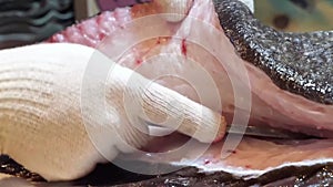 Precision Seafood Filleting - Grouper and Sea Bass Mastery