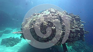 Precontinent was built by Jacques-Yves Cousteau. Bubbles, glass fish, sunlight in coral of Red sea Sudan