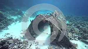 Precontinent was built by Jacques-Yves Cousteau. Bubbles, glass fish, sunlight in coral of Red sea Sudan