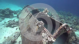 Precontinent was built by Jacques-Yves Cousteau. Bubbles, glass fish, sunlight in coral of Red sea Sudan