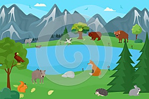 Predator animal wildlife at forest, vector illustration. Europe nature with wild mammal, fauna character collection, fox