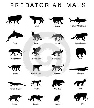 Predator animals set vector silhouette illustration isolated on white background. Wildlife carnivore collection. Most danger.