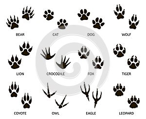 Predator footprint. Wild animals paw prints, cat, bear, tiger, fox and wolf footprints, predators foot marks silhouette
