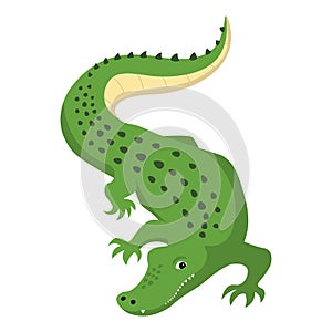 Predatory alligator crocodile with open mouth and fangs, wild animal vector isolated