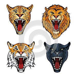 Predatory animals set. Leopard. Lion. Tiger. Panther.