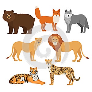 Predatory animals set wolf bear fox tiger lion cheetah isolated