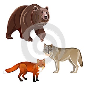 Predatory beasts vector