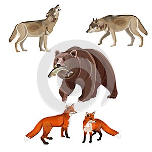 Predatory beasts vector