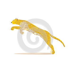 Predatory cat. Leopard. Cheetah. Animal. Vector illustration